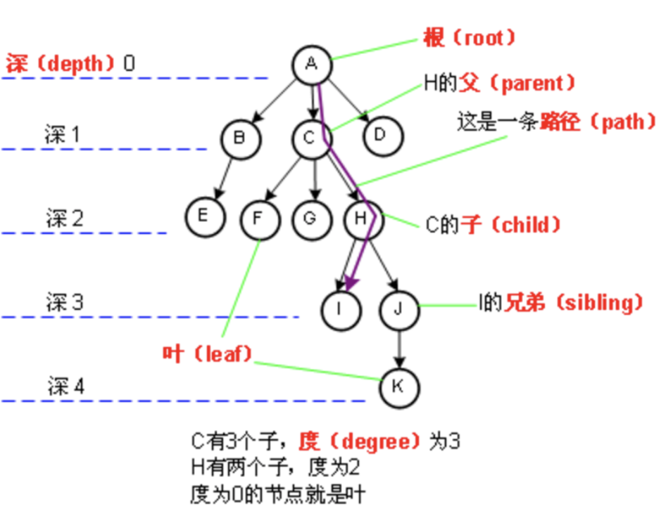 树数据结构